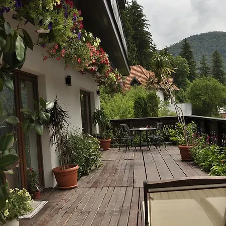 Guest house La Monitori